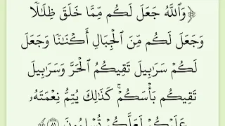 رساله اليوم في التفسير من الايه 79 الى الايه 81 من سوره النحل 