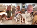 Download Lagu Cutest Baby Peekaboo Moments with Puppies and Kittens