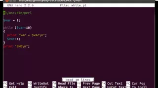 Perl While Loop Example