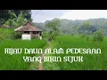 Download Lagu Menelusuri DAN Menikmati, Suasana Perkebunan dan Pesawahan Di Pedesaan,