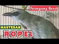 Lagu 1 jam FULL MASTERAN SPESIAL ROPEL perangsang bunyi burung trucukan