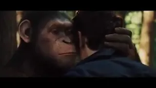 روح هات الكيس يا شيبه دندنها