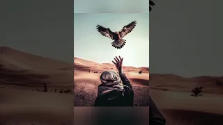 حسين الجسمي   عيني الموتر  يا صولي حفلة دندنها