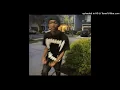 yvngxchris, babysantana & luisss - get off the leash (instrumental + added 808s)