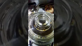 Making coffee with a Pyrex stovetop coffee maker