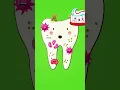 What Happens When You Don t Brush Tooth Bacteria Alert