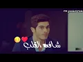 يا احلى حب 😍♥ محمد السالم | حالات واتس اب 2020