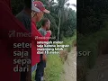 Download Lagu TANGGUL SUNGAI NYARIS JEBOL, PERMUKIMAN WARGA TERANCAM BANJIR