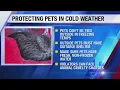 Law enforcement Call animal control if you see any pets living in illegal conditions