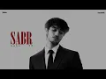 sabr - Vanshh (Official Lyric Visualizer)
