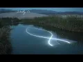 Phoebe Bridgers - Liberty Tree (Official Lyric Video)