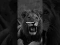 Download Lagu The best, never quits #shorts