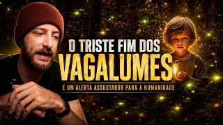 O TRISTE FIM DOS VAGALUMES