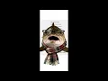 THEODORE TROUT REPORT 26