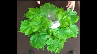 Farklı tost tarifleri arayanlar için, her damak tadına hitap eden, birbirinden farklı lezzetlerde, s. 