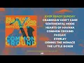 Robben Ford & Bill Evans - Common Ground Album  Pre-Listening