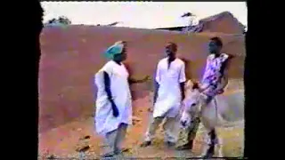 golobo cinikin jakka