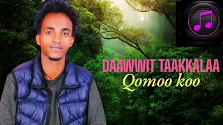 Daawwit Taakkalaa Qomoo Koo New Ethiopian Oromo Music 2025 