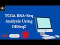 Differential Gene Expression Analysis Using DESeq2 in R