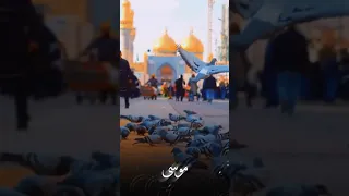 تصميم حسيني الامام موسى الكاضم ع استوريات حلات واتس اب لايك اشتراك 