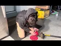 Universal brush cutter easy modification to install on DEWALT flexvolt
