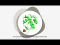 Small Molecule Virtual Screening Explained AI in Drug Discovery