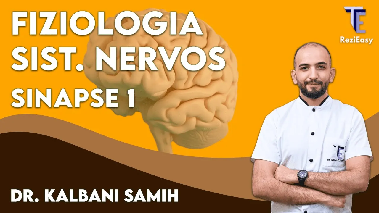Fiziologia sistemului nervos : Transmiterea sinaptica (Partea 1)