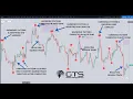 TradingView Auto Harmonic Pattern Recognition and Trading Indicator