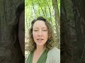 Just under 5 acres for sale Salem Va
