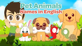 اسماء الحيوانات الأليفة باللغة الإنجليزية   تعليم الإنجليزية للأطفال مع زكريا دندنها