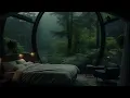 Peaceful Forest Rain and Piano Music 🌧️🌿 Drift into Relaxation and Enjoy Quality Sleep 🎹💤
