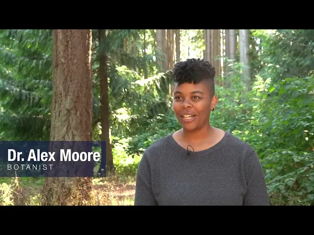 https://youtu.be/2NU6W4ExAZ8?si=8FXZoETxF3ta-y8k