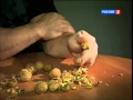 Denis Cyplenkov VS Walnuts