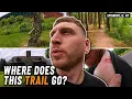 I Followed an Overgrown Rail Trail Into Rural New York