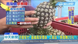 20190324中天新聞 嘉義鳳梨價慘跌 農民哀嚎:拜託韓國瑜幫幫忙