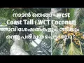 Download Lagu West Coast Tall തെങ്ങ് പ്രതേകതകളും,നടീലും/West coast coconut tree specification and plantation.