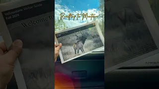 Road trip to Yellowstone!Starting off with the legendary sights and sounds of Old Faithful #roadtrip