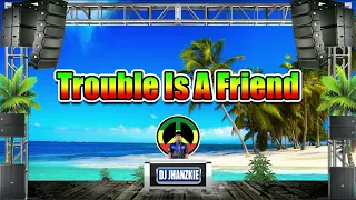 lenka trouble is a friend reggae remix dj jhanzkie tiktok viral 2022