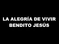 BENDITO JESÚS - Danilo Montero (PISTA METANOIA PARA TONO MUJER) HD