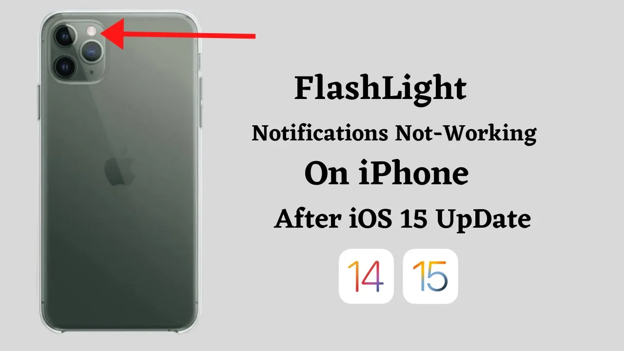 How to Turn On Flash Notifications on iPhone 11, 11 Pro Max, X, XR, XS Max, 8 Plus and 7 Plus?