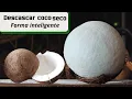 Lagu Como DESCASCAR COCO SECO - Forma INTELIGENTE