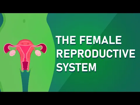 Download MP3 Understanding The Female Reproductive System