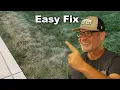 How To Fix Dry Brown Spots In Your Lawn