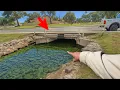 I Found BIG Fish Living Under the Road! (Wild)