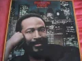 Marvin Gaye(My Love is Waiting) 1983