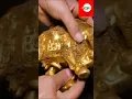 Download Lagu Harta karun luar biasa#goldhunting#metaldetector#penemuanhartakarun#penemuanemas#emas#gold