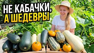 Не просто кабачки, а шедевры: показываю свои любимые гибриды и чем они круче остальных