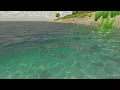 AQUAS 2020 Tutorial - The Setup Wizard Basic Water Setup