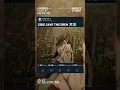 Download Lagu Zeke Save The Eren ☠️🥶 #shots #aot #zekeyeager #aot #quotes #foryou #eren #titans #fly #fyp