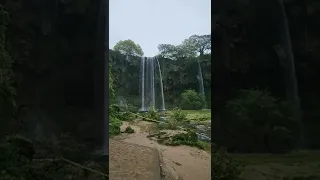 الخفاش والفراشة لأحمد شوقي إلقاء أسامة الواعظ صلالة 